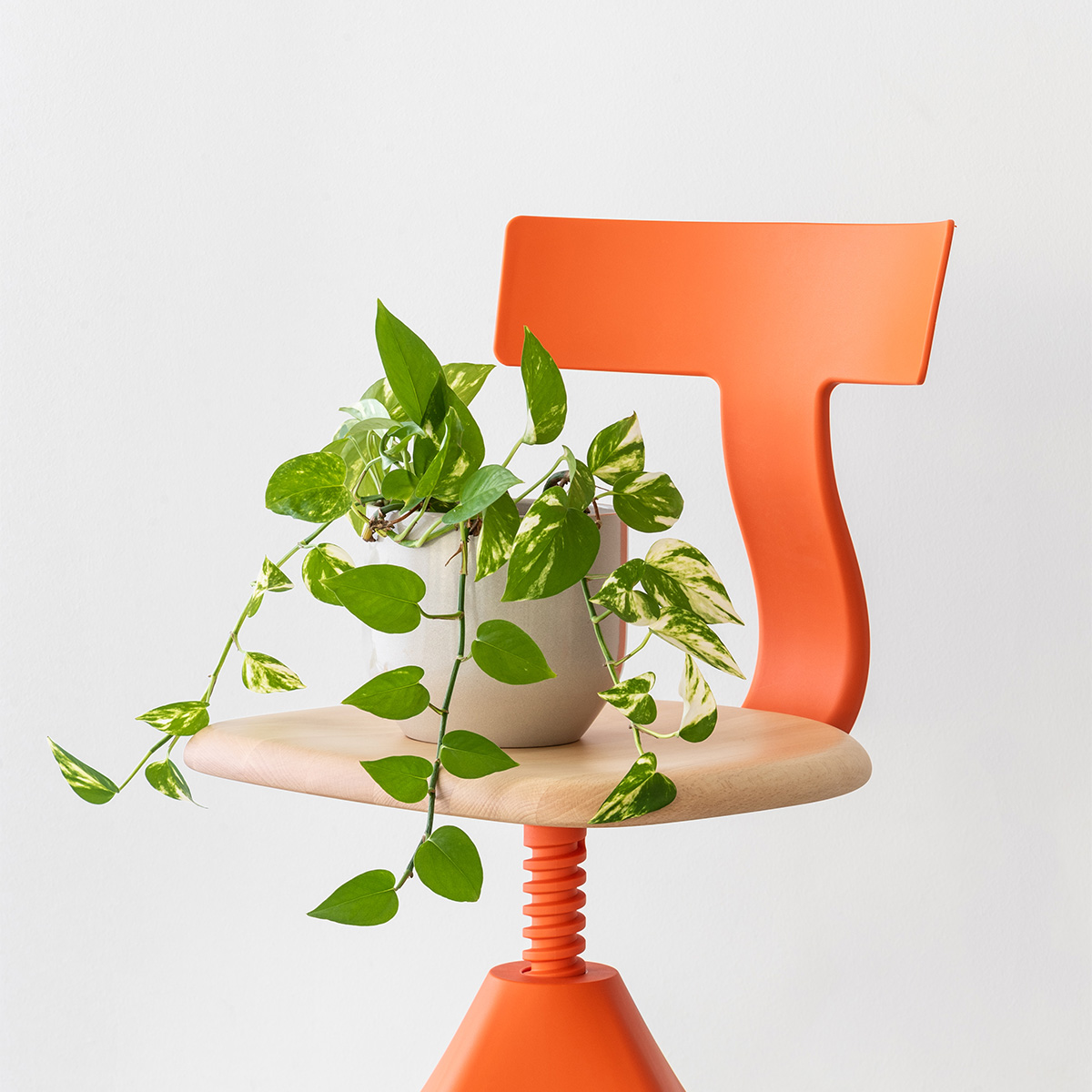 Magis Tuffy The Wild Bunch Chair