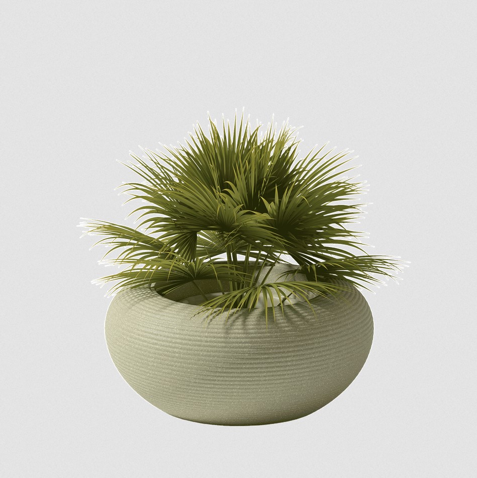 Qeeboo Nami Planter - New Colors