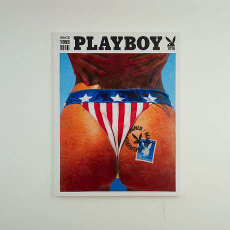 Playboy X 