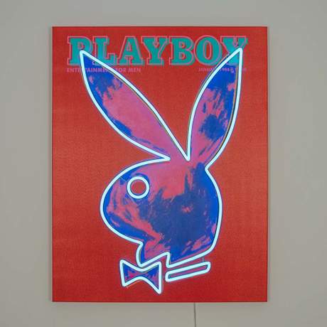 Playboy X 