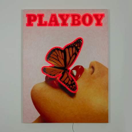 Playboy X 